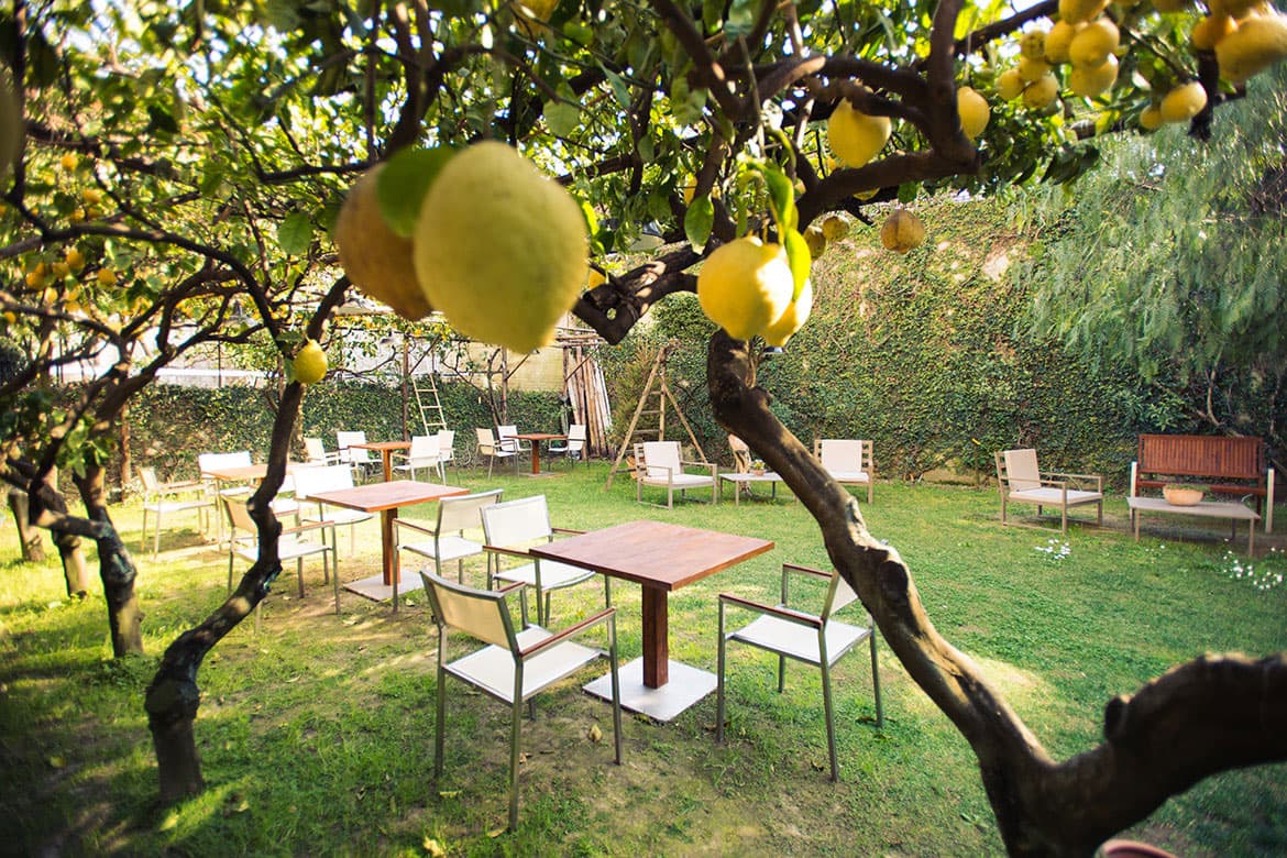 Il Giardino dei Cedri e dei Limoni